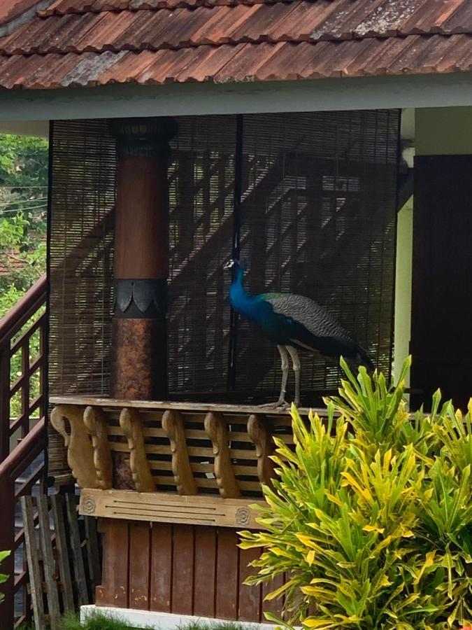 Royal Kazbay Beach Resort Varkala Bagian luar foto